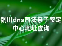 铜川dna司法亲子鉴定中心地址查询