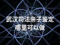 武汉司法亲子鉴定哪里可以做