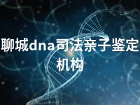 聊城dna司法亲子鉴定机构