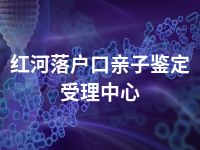 红河落户口亲子鉴定受理中心