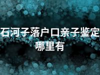 石河子落户口亲子鉴定哪里有