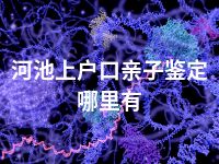 河池上户口亲子鉴定哪里有