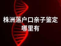 株洲落户口亲子鉴定哪里有