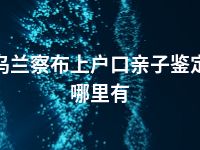 乌兰察布上户口亲子鉴定哪里有