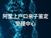 阿里上户口亲子鉴定受理中心