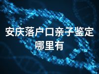 安庆落户口亲子鉴定哪里有