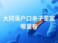 大同落户口亲子鉴定哪里有