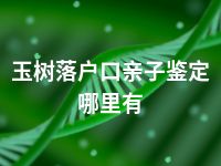 玉树落户口亲子鉴定哪里有