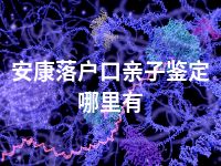 安康落户口亲子鉴定哪里有