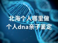 北海个人哪里做个人dna亲子鉴定