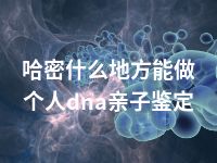 哈密什么地方能做个人dna亲子鉴定