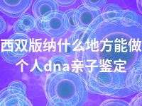 西双版纳什么地方能做个人dna亲子鉴定