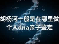 胡杨河一般是在哪里做个人dna亲子鉴定