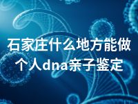 石家庄什么地方能做个人dna亲子鉴定