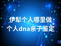 伊犁个人哪里做个人dna亲子鉴定