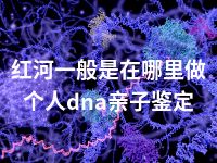 红河一般是在哪里做个人dna亲子鉴定