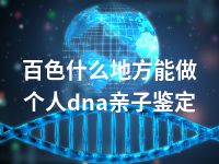 百色什么地方能做个人dna亲子鉴定