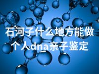 石河子什么地方能做个人dna亲子鉴定