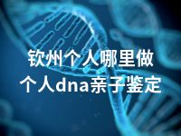 钦州个人哪里做个人dna亲子鉴定