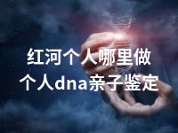 红河个人哪里做个人dna亲子鉴定