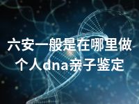 六安一般是在哪里做个人dna亲子鉴定