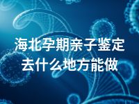 海北孕期亲子鉴定去什么地方能做