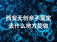 西安无创亲子鉴定去什么地方能做