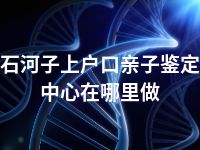 石河子上户口亲子鉴定中心在哪里做