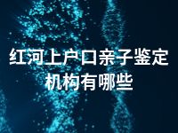 红河上户口亲子鉴定机构有哪些