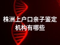 株洲上户口亲子鉴定机构有哪些