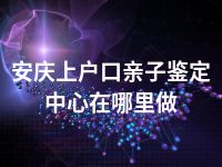 安庆上户口亲子鉴定中心在哪里做