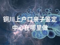 铜川上户口亲子鉴定中心在哪里做