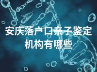 安庆落户口亲子鉴定机构有哪些