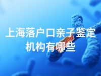 上海落户口亲子鉴定机构有哪些