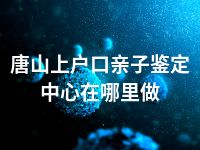 唐山上户口亲子鉴定中心在哪里做