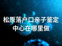 松原落户口亲子鉴定中心在哪里做