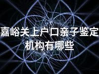 嘉峪关上户口亲子鉴定机构有哪些