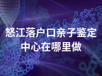 怒江落户口亲子鉴定中心在哪里做