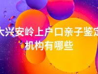 大兴安岭上户口亲子鉴定机构有哪些