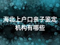 海北上户口亲子鉴定机构有哪些