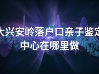 大兴安岭落户口亲子鉴定中心在哪里做