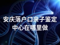 安庆落户口亲子鉴定中心在哪里做