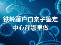 铁岭落户口亲子鉴定中心在哪里做