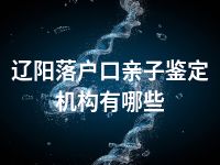 辽阳落户口亲子鉴定机构有哪些