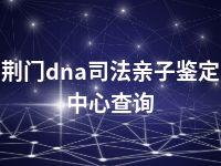 荆门dna司法亲子鉴定中心查询