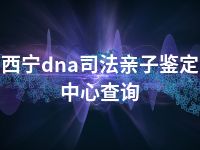 西宁dna司法亲子鉴定中心查询