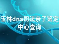 玉林dna司法亲子鉴定中心查询