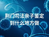 荆门司法亲子鉴定到什么地方做