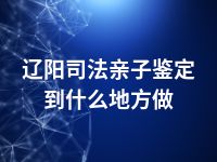 辽阳司法亲子鉴定到什么地方做