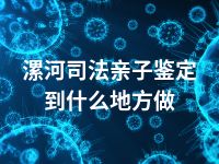 漯河司法亲子鉴定到什么地方做